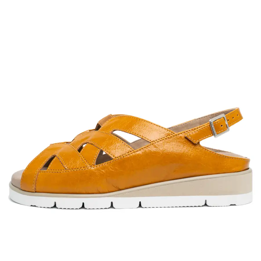 Albatros sabot meteore lemon