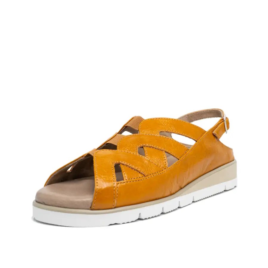 Albatros sabot meteore lemon