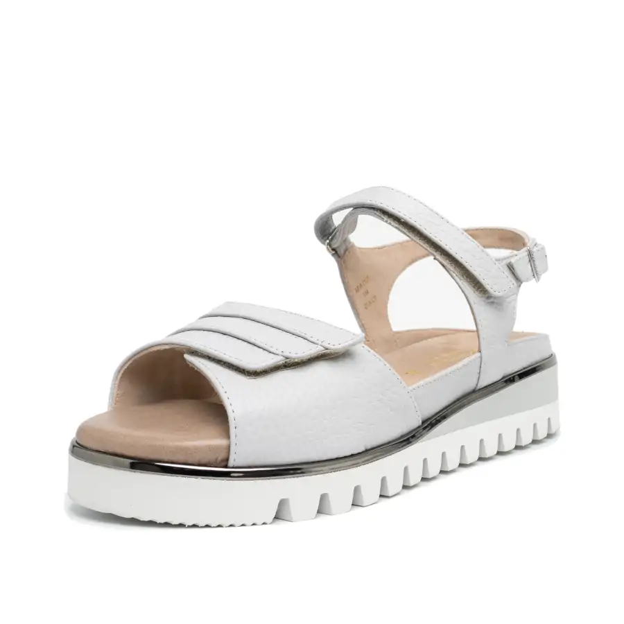 Melita sabot | adria ghiaccio