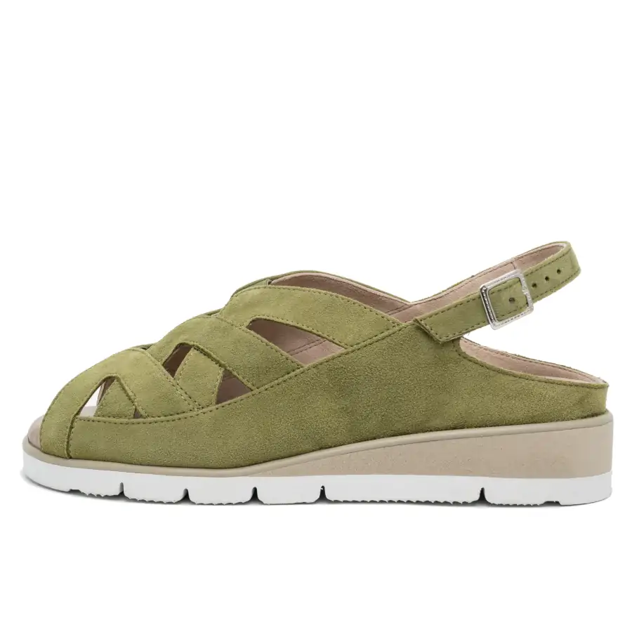 Albatros Sabot Muschio Tomasi Shop con plantare estraibile